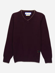 Burgundy Casual V-Neck Sweater