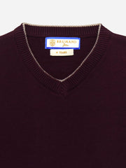 Burgundy Casual V-Neck Sweater