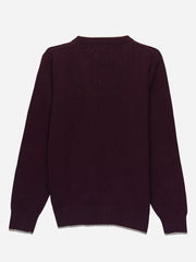 Burgundy Casual V-Neck Sweater
