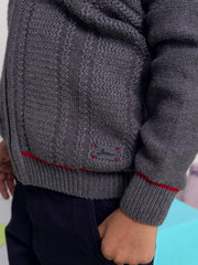 Grey Casual Textured Zipper With Hoodie