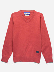 Red Casual V-Neck Sweater