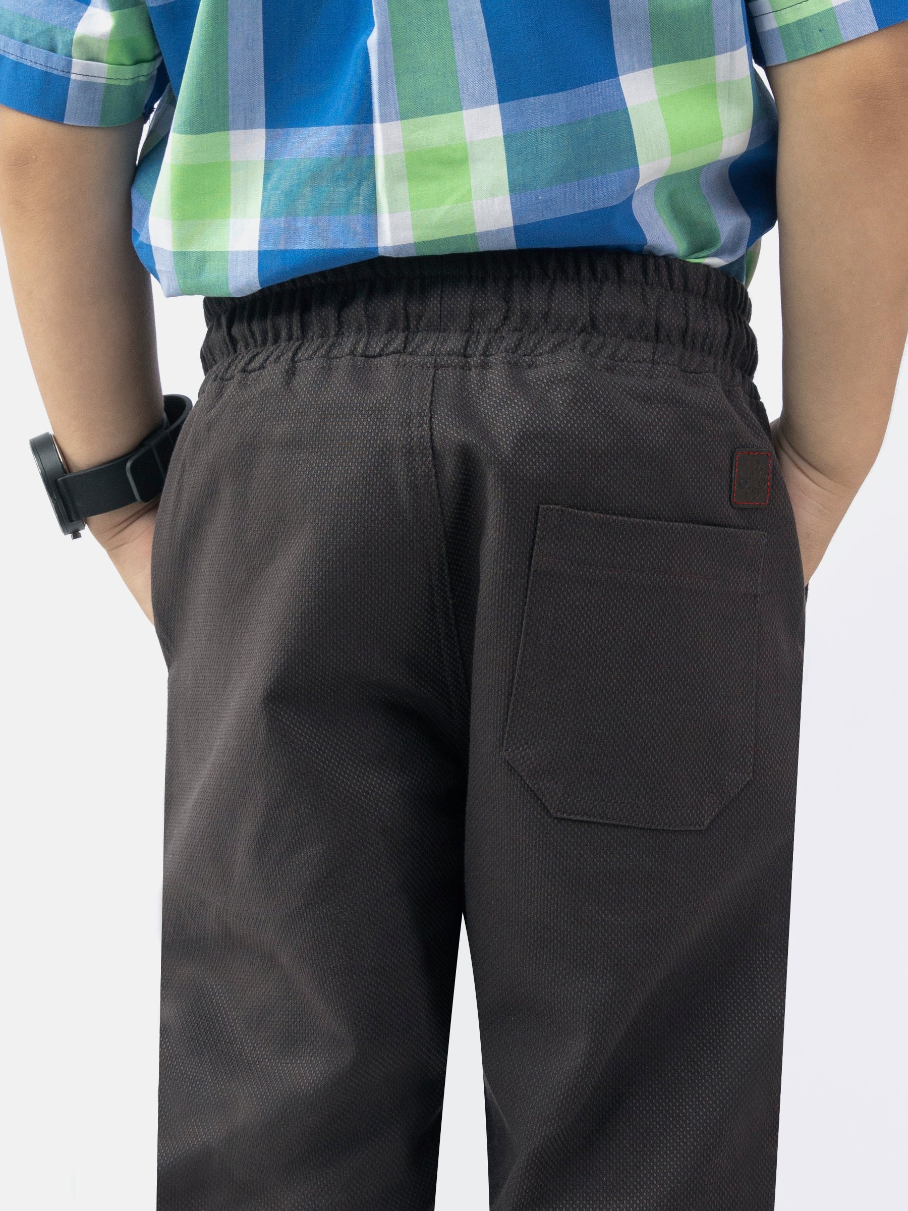 Brown Structured Jogger Pant