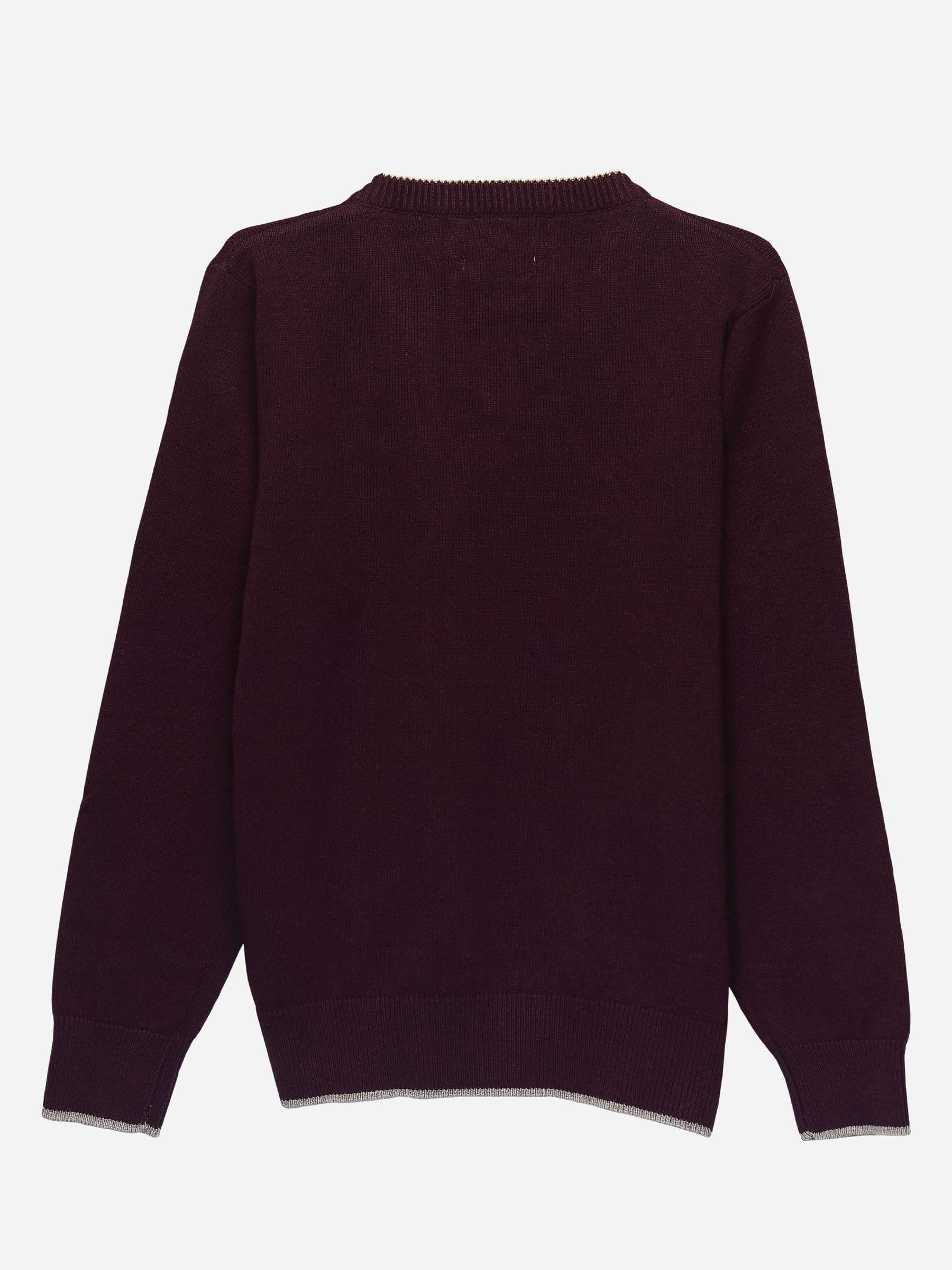Burgundy Casual V-Neck Sweater