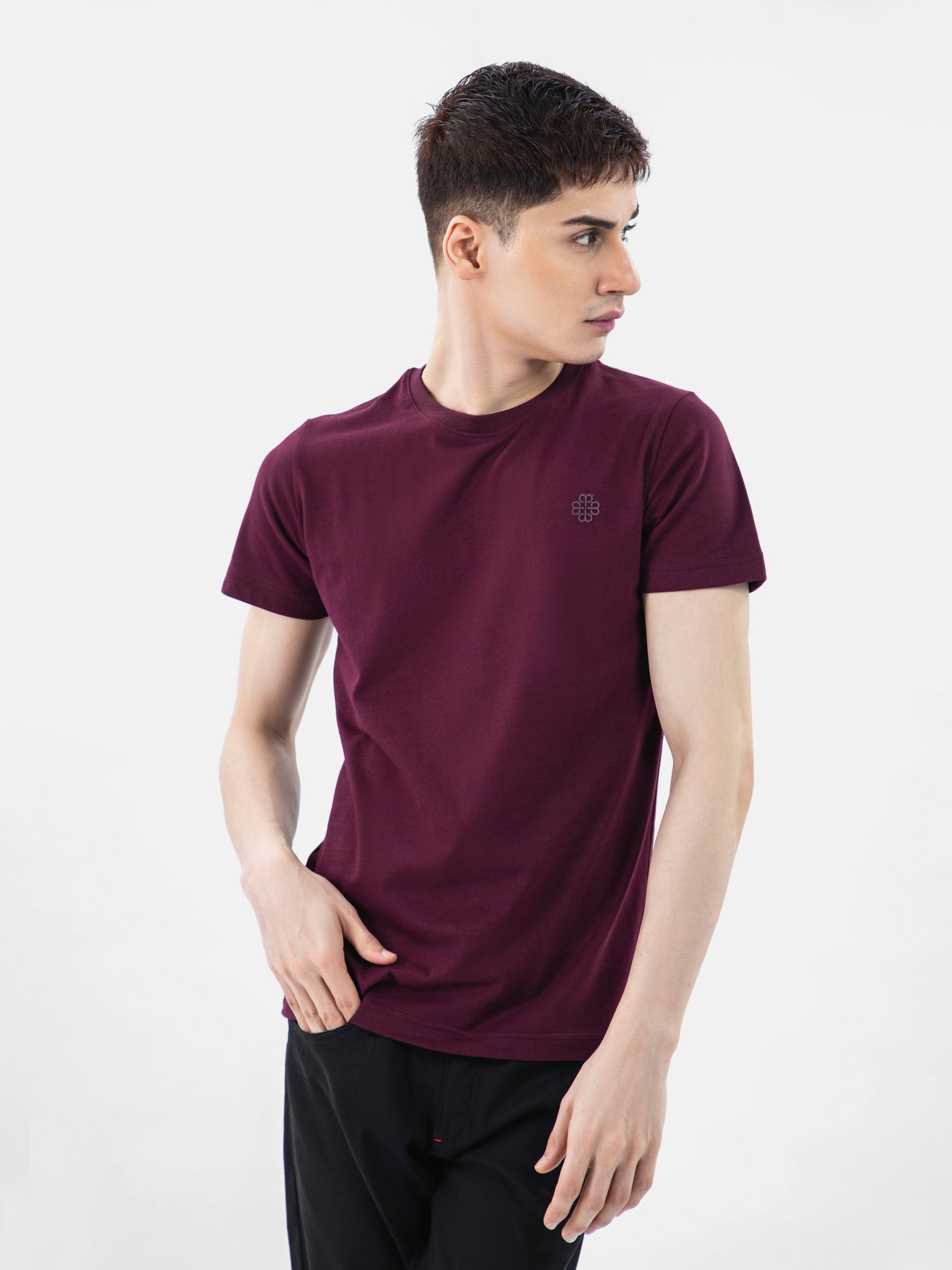 Burgundy 100% Combed Cotton Crew Neck T-Shirt
