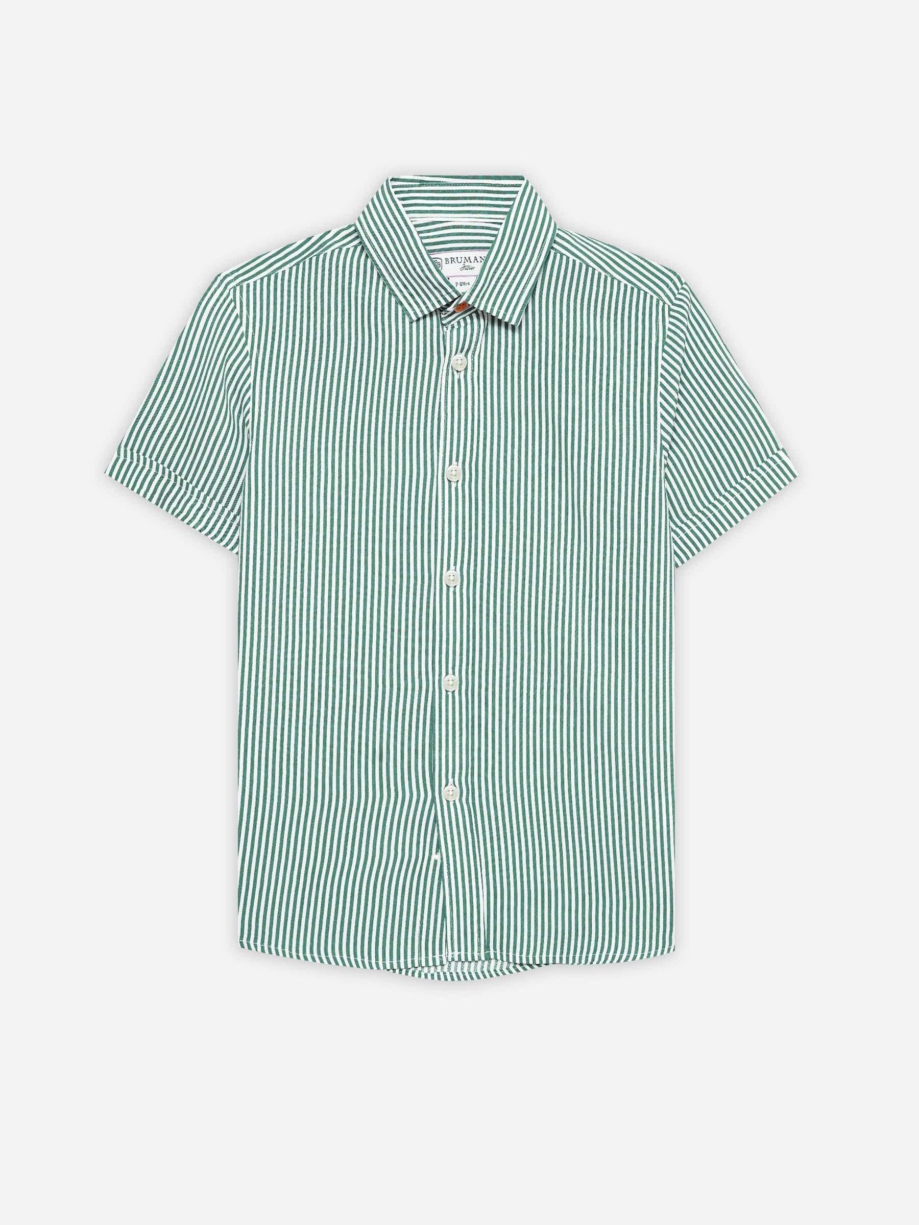 Green & White Striped Half Sleeve Casual Shirt - Junior