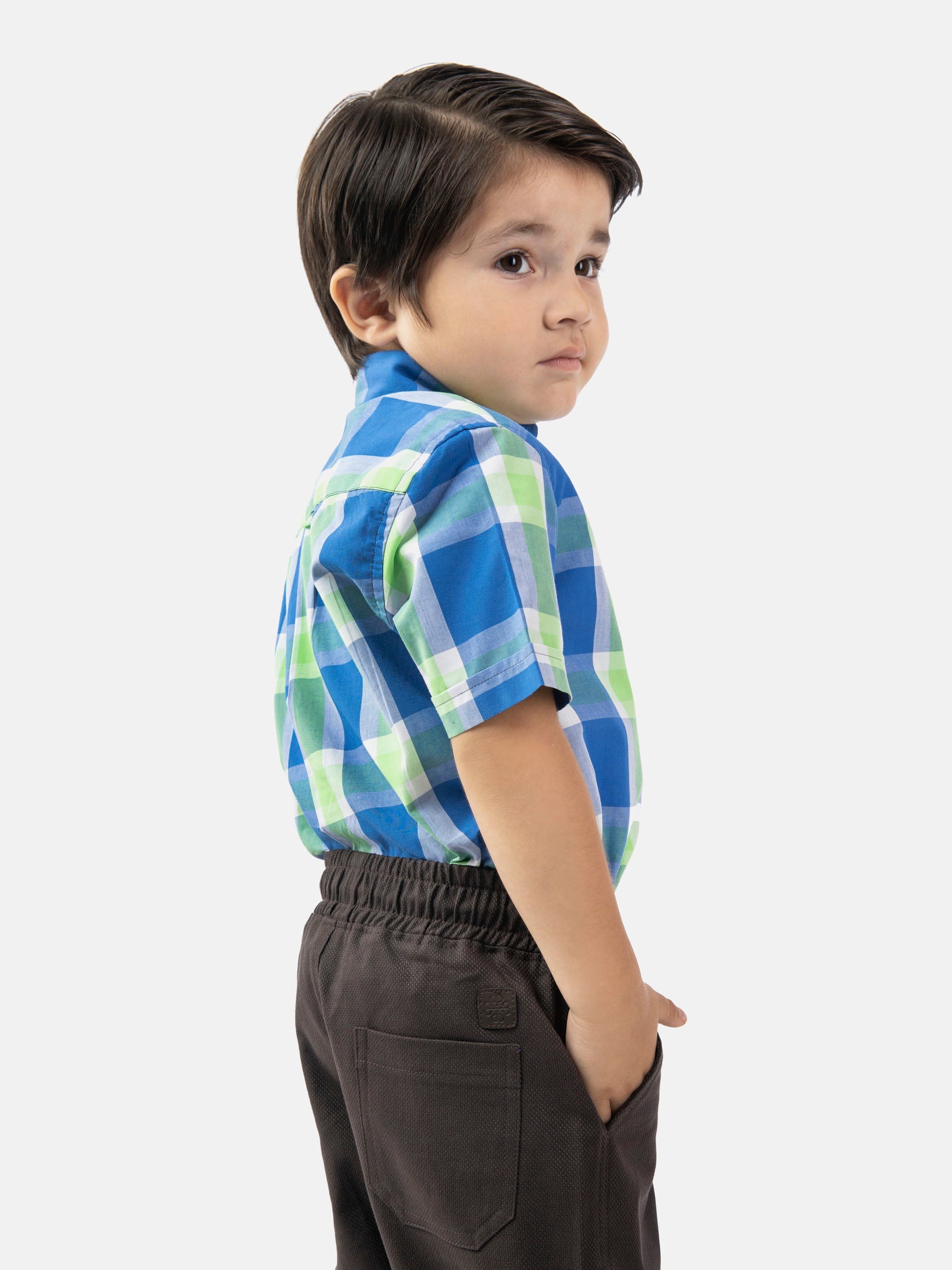 Green & Blue Half Sleeve Casual Checkered Shirt