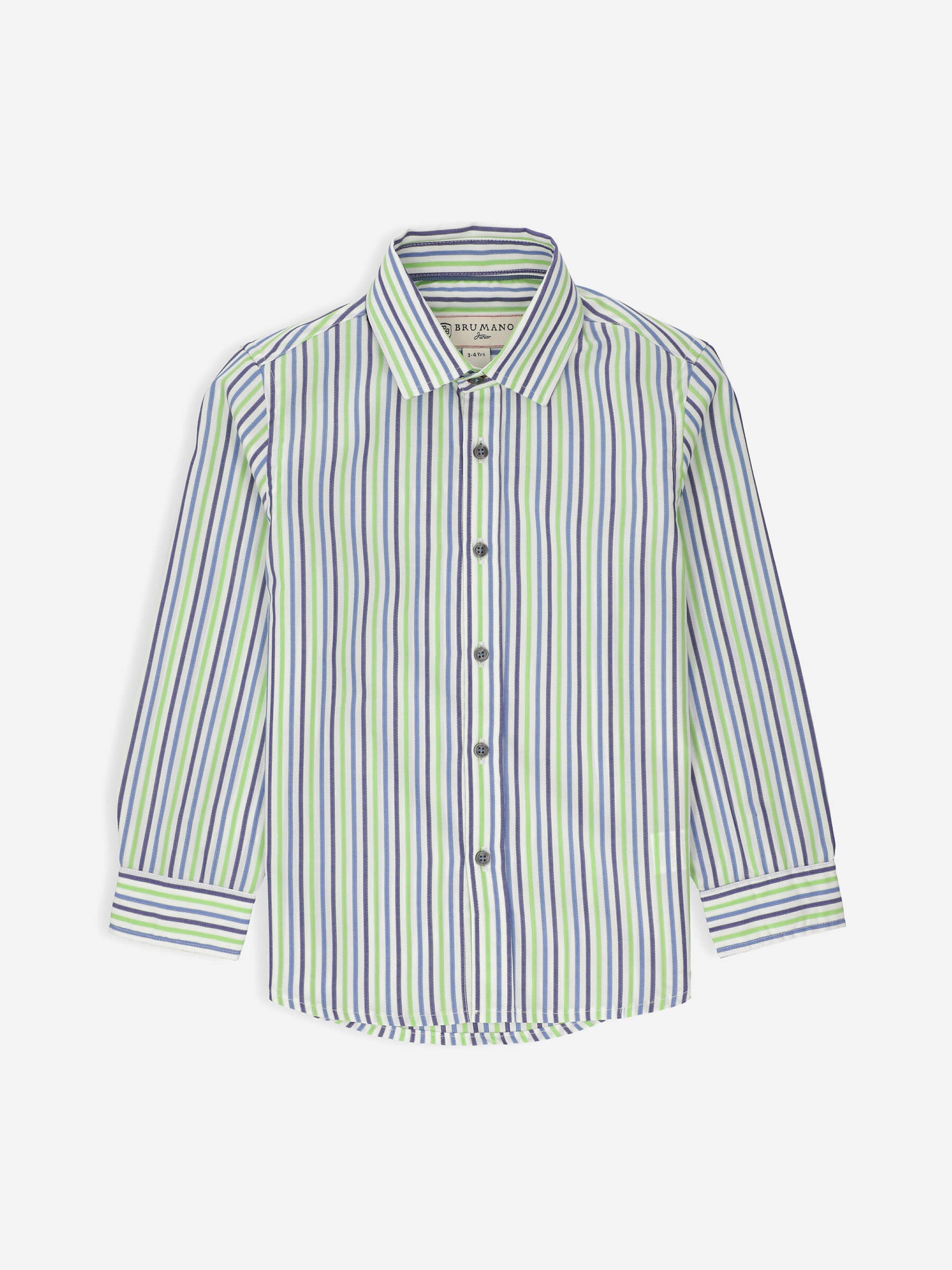 Green & Blue Striped Casual Long Sleeve Shirt