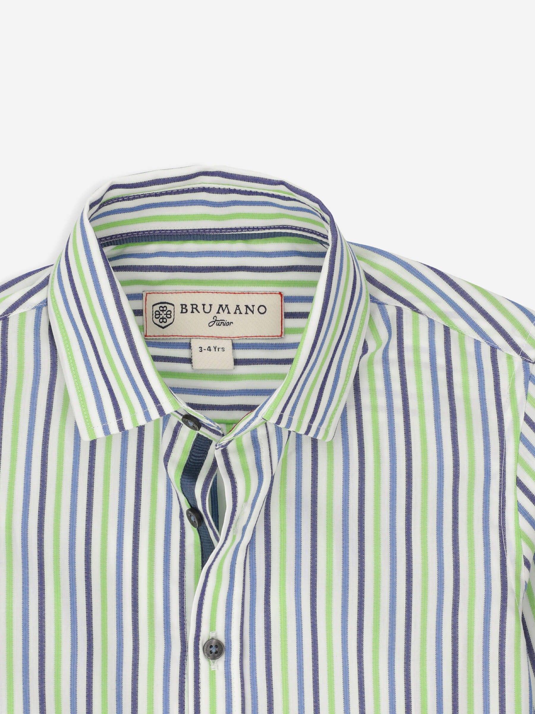 Green & Blue Striped Casual Long Sleeve Shirt