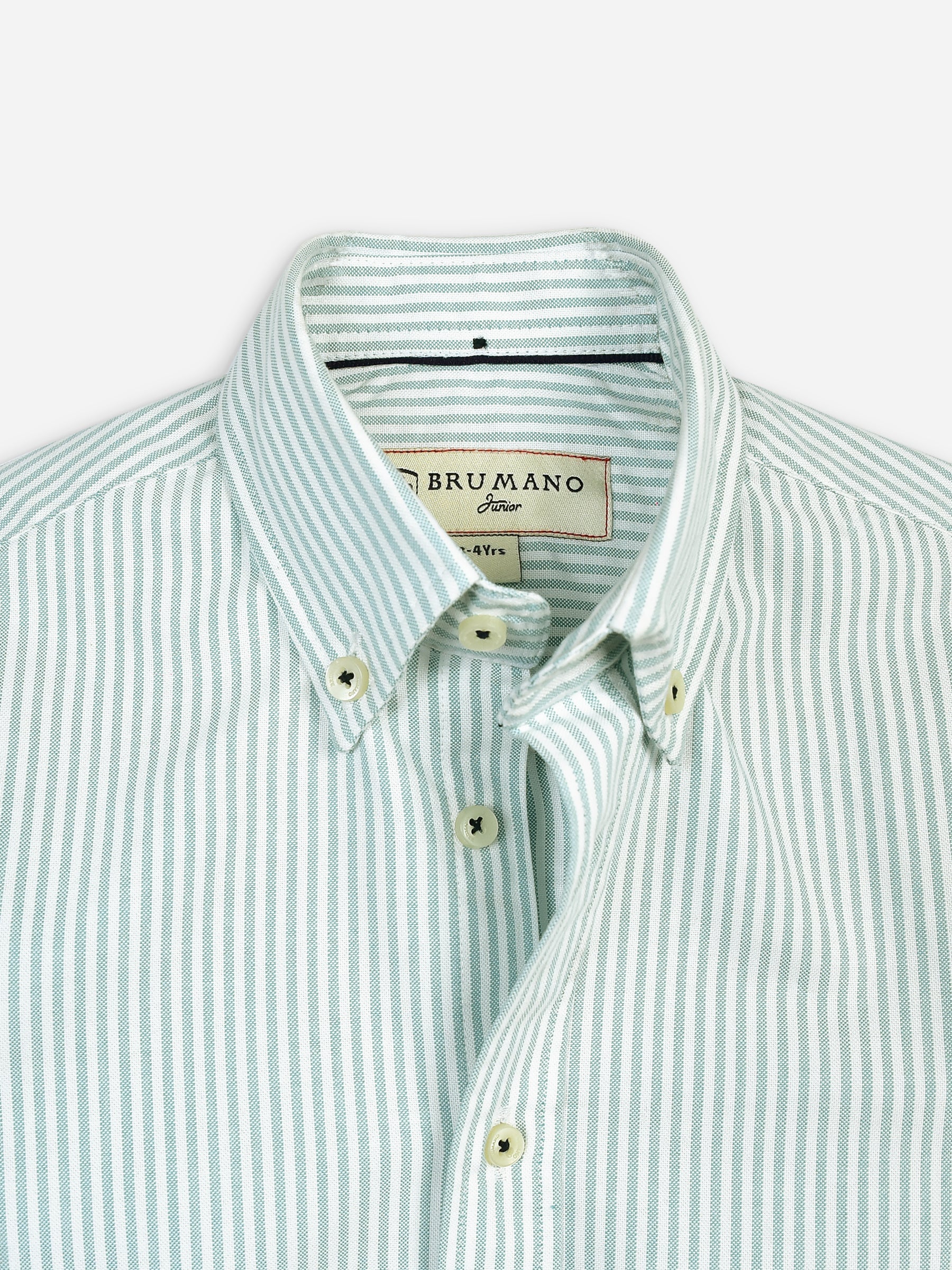 Light Green Oxford Striped Long Sleeve Casual Shirt