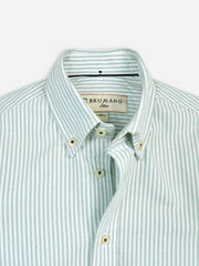 Light Green Oxford Striped Long Sleeve Casual Shirt