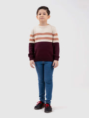 Maroon & Beige Striped Crew Neck Casual Jumper