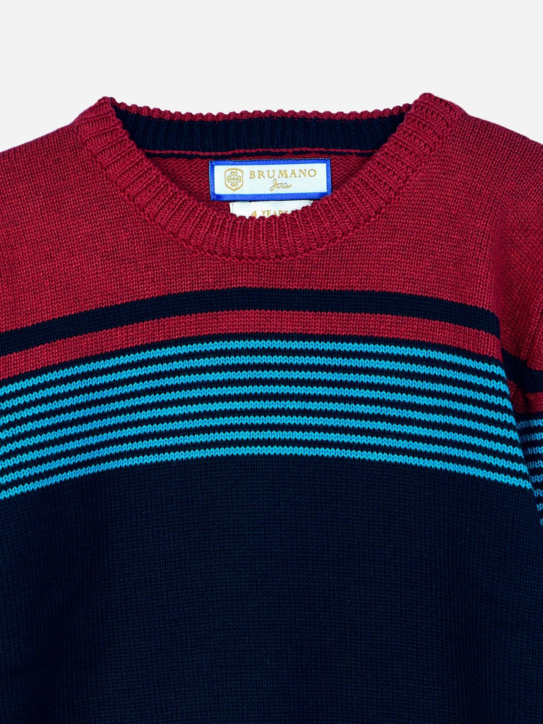 Navy Blue & Red Striped Casual Jumper