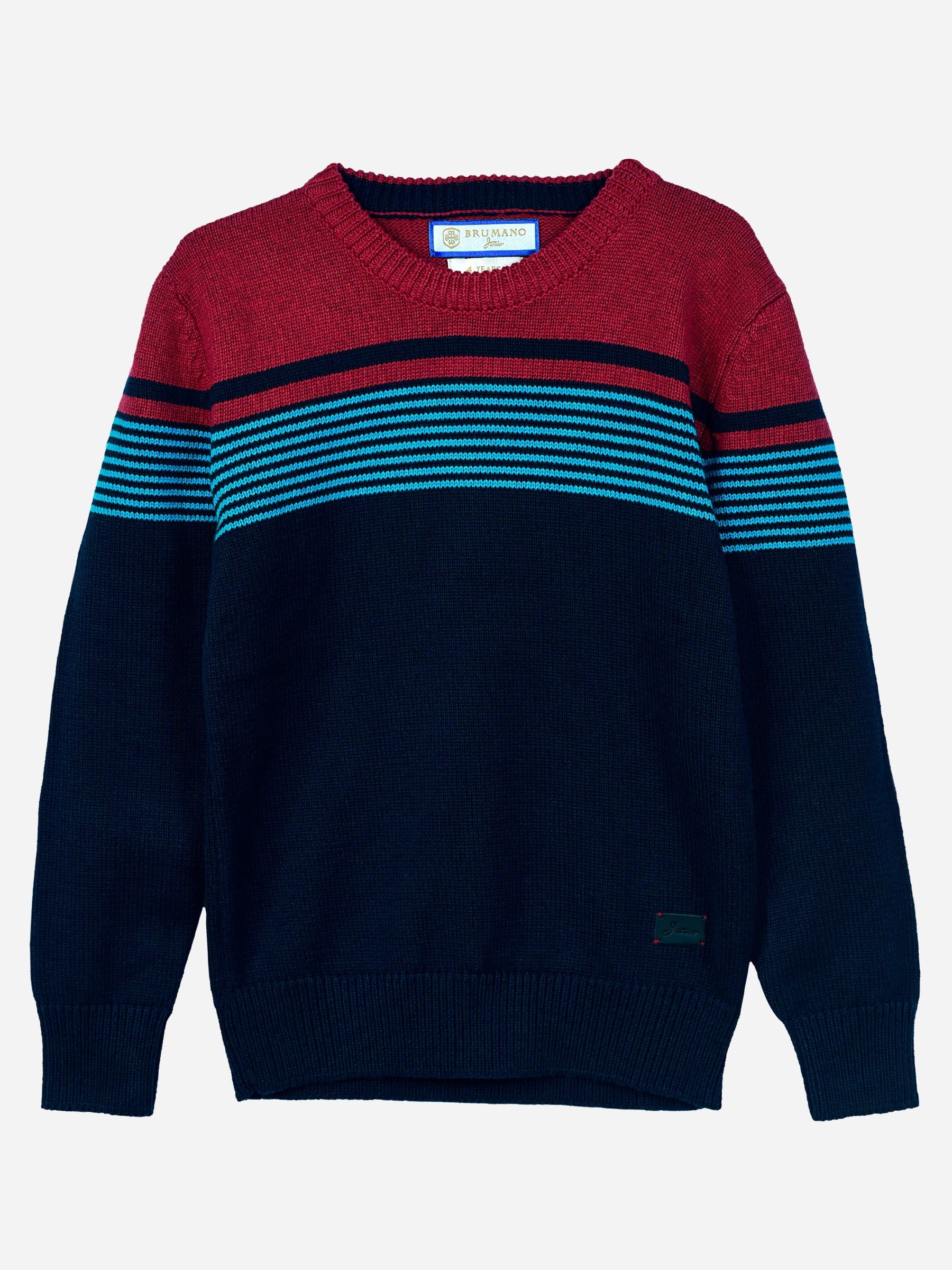 Navy Blue & Red Striped Casual Jumper