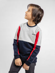 Navy Blue & Red Contrasting Sleeves Casual Sweatshirt