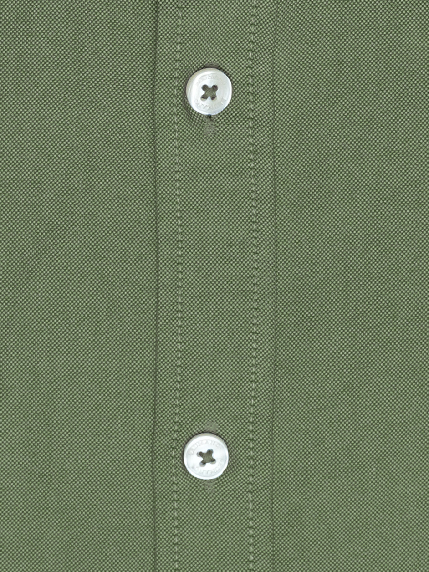 Olive Green Oxford Button Down Shirt