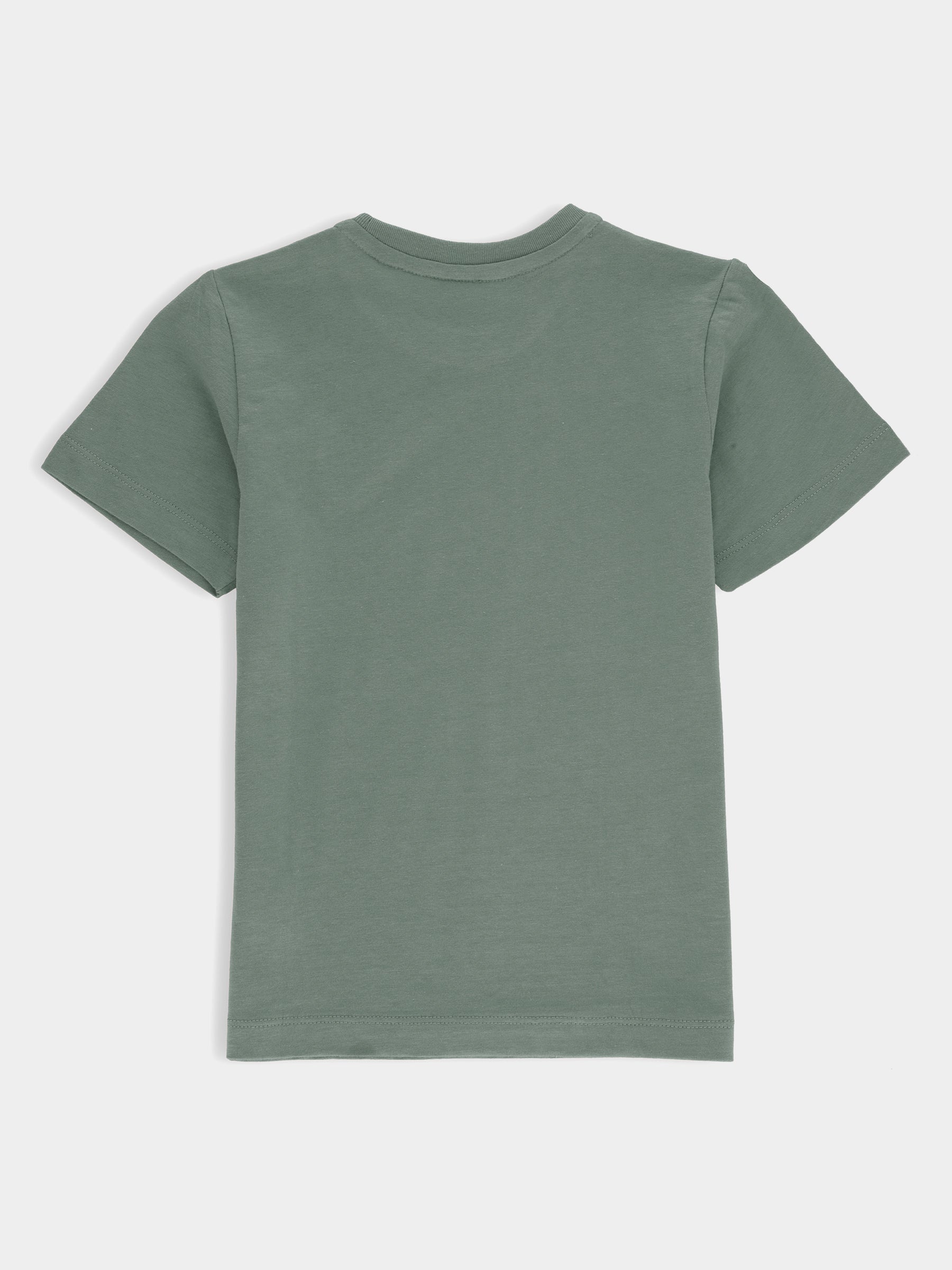 Olive Green Chenille Embroidered Casual Tee