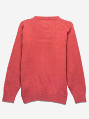 Red Casual V-Neck Sweater