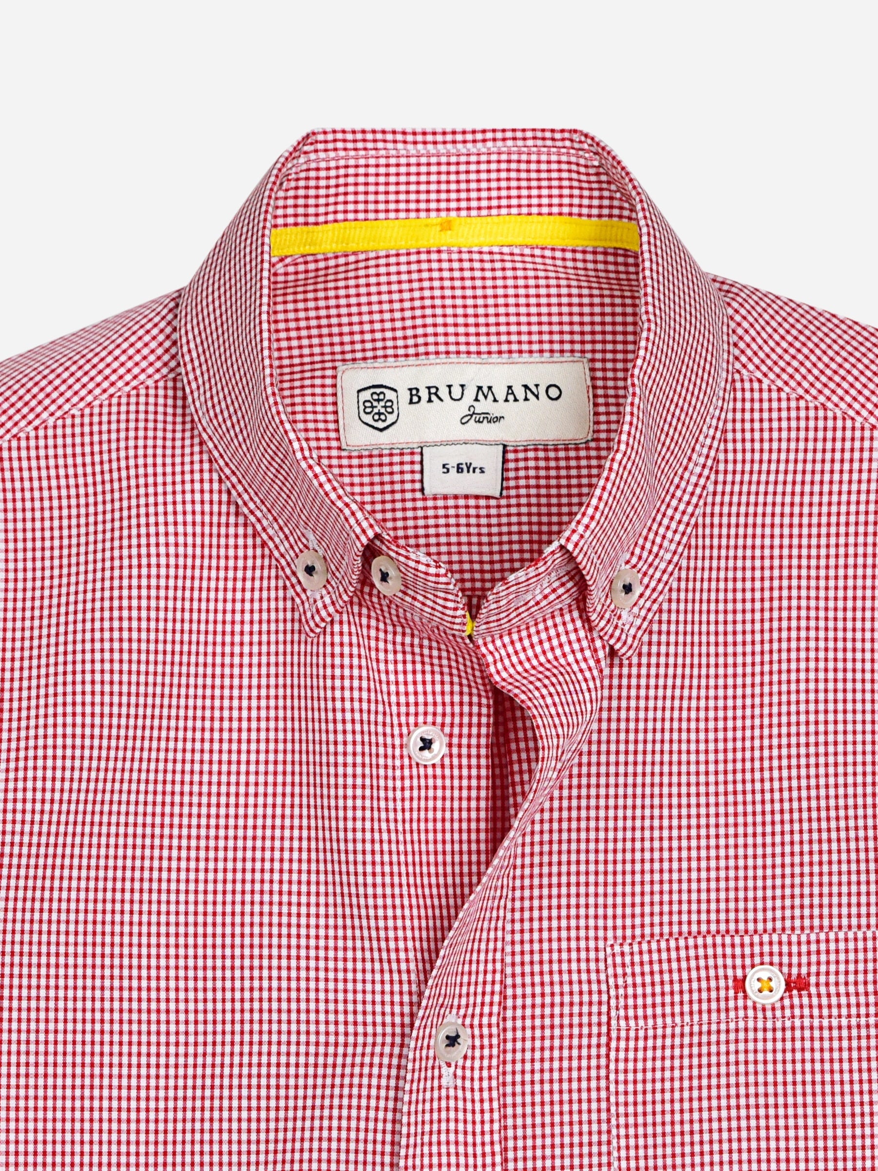 Red Micro Gingham Casual Long Sleeve Shirt
