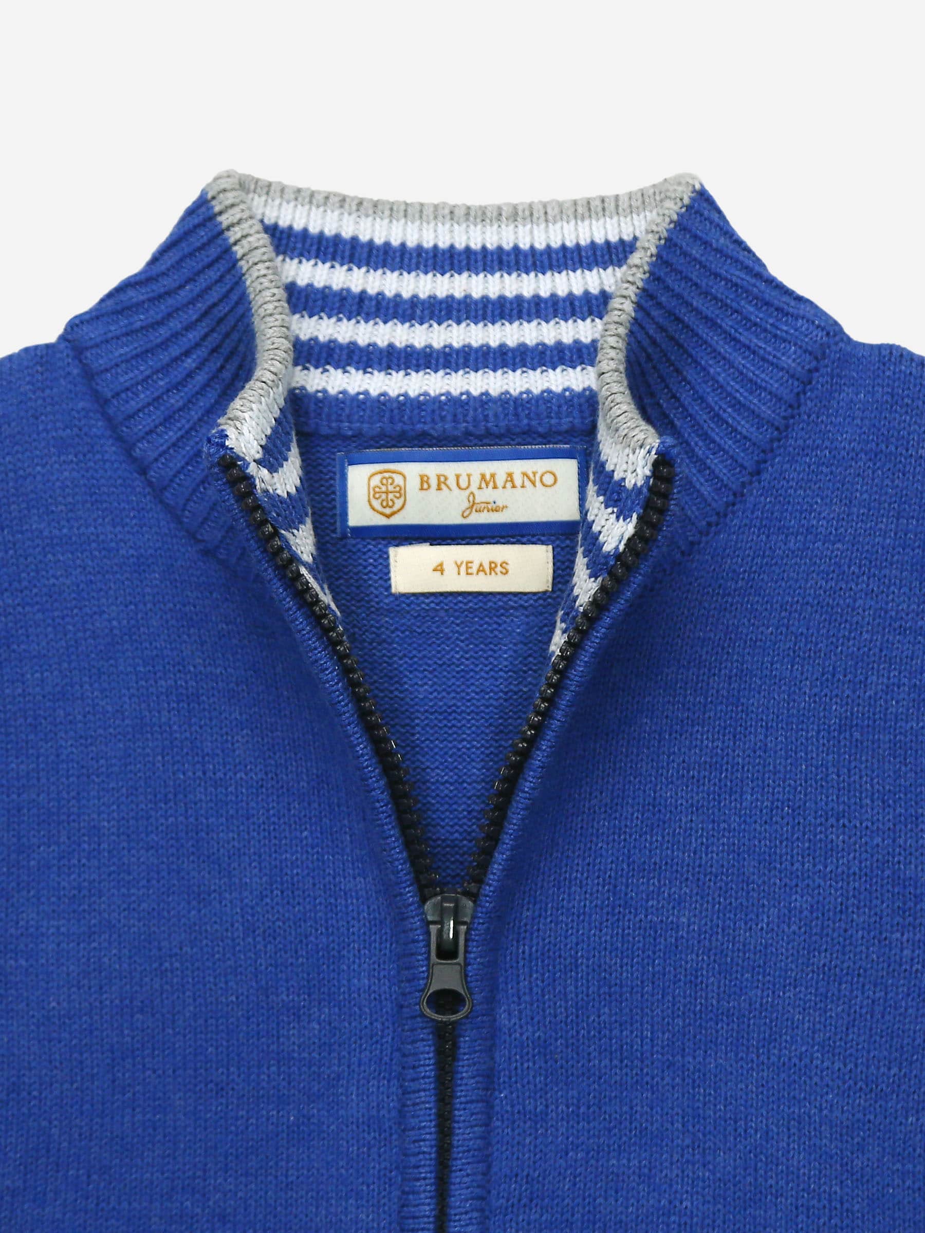 Royal Blue Sleeveless Casual Zipper