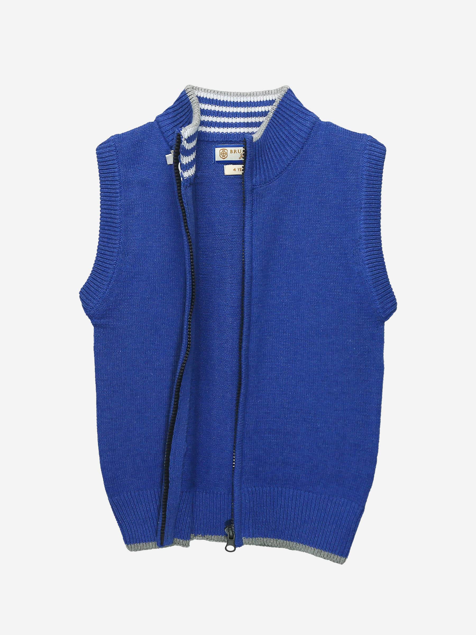 Royal Blue Sleeveless Casual Zipper
