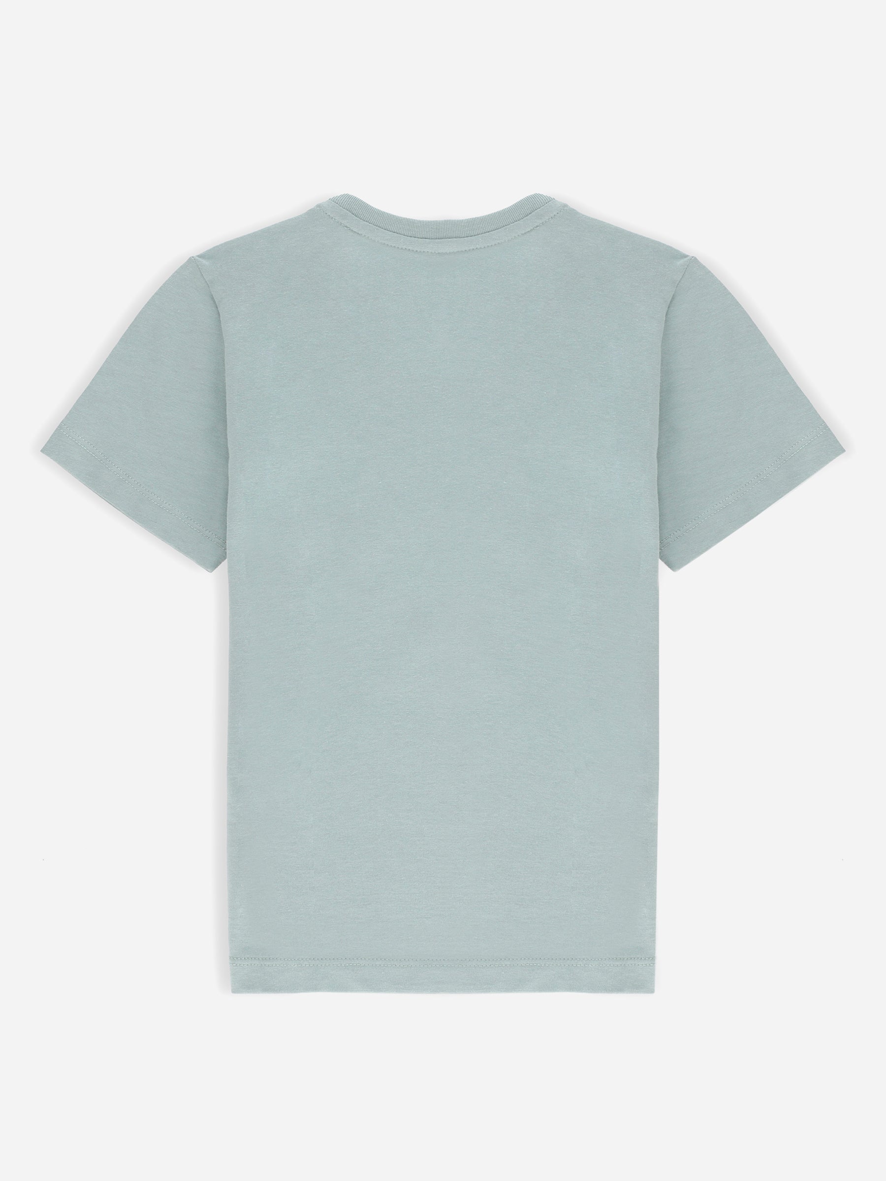 Sage Green Graphic Printed 'Abstract Art' Casual Tee