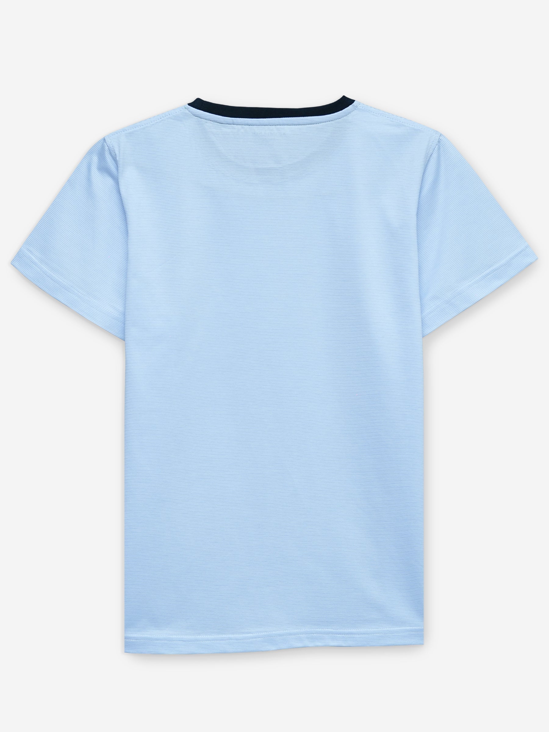 Sky Blue Striped Crew Neck T-Shirt With Contrasting Rib