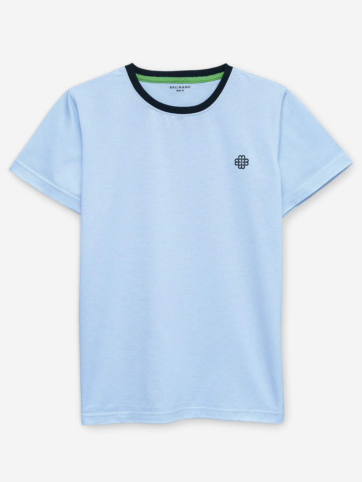 Sky Blue Striped Crew Neck T-Shirt With Contrasting Rib