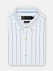 White & Blue Striped Button Down Shirt