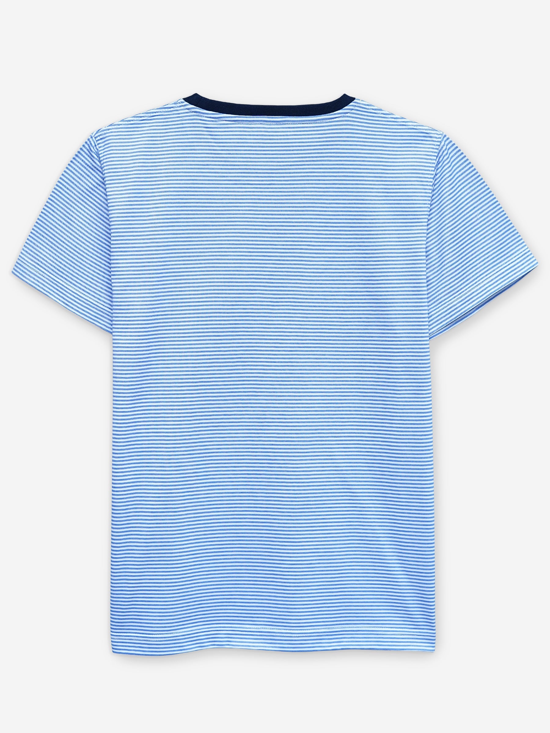 White & Blue Striped Crew Neck T-Shirt With Contrasting Rib